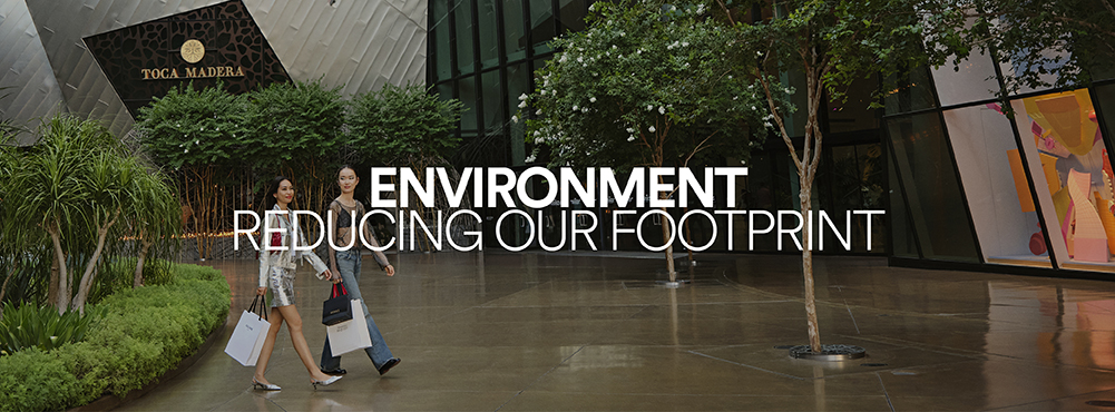 Environment: Reducing Our Footprint