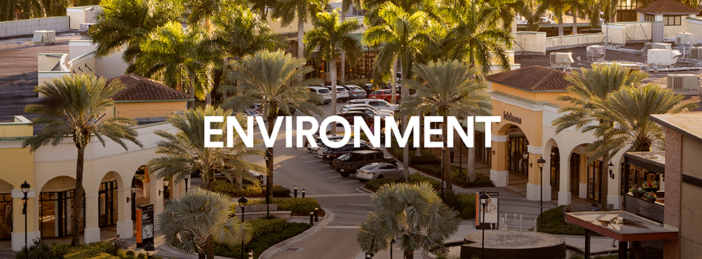 Environment